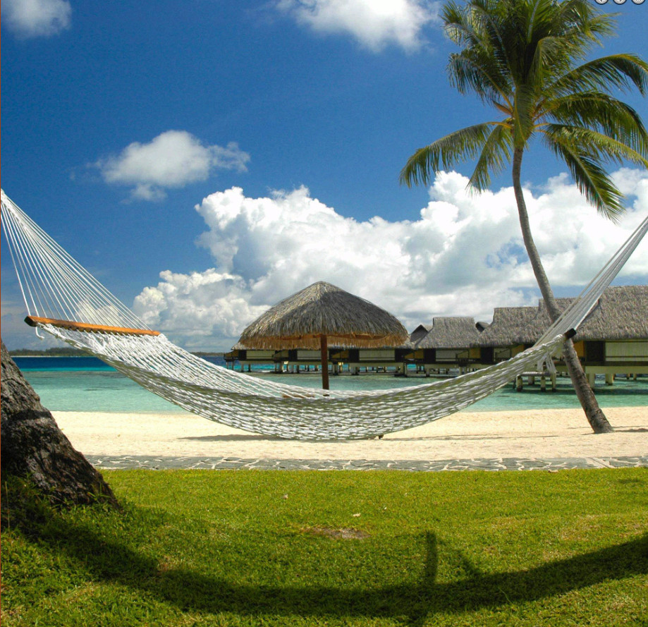 Castaway Living 13ft Double Cotton Rope Hammock w/ Chains Hooks 450lb